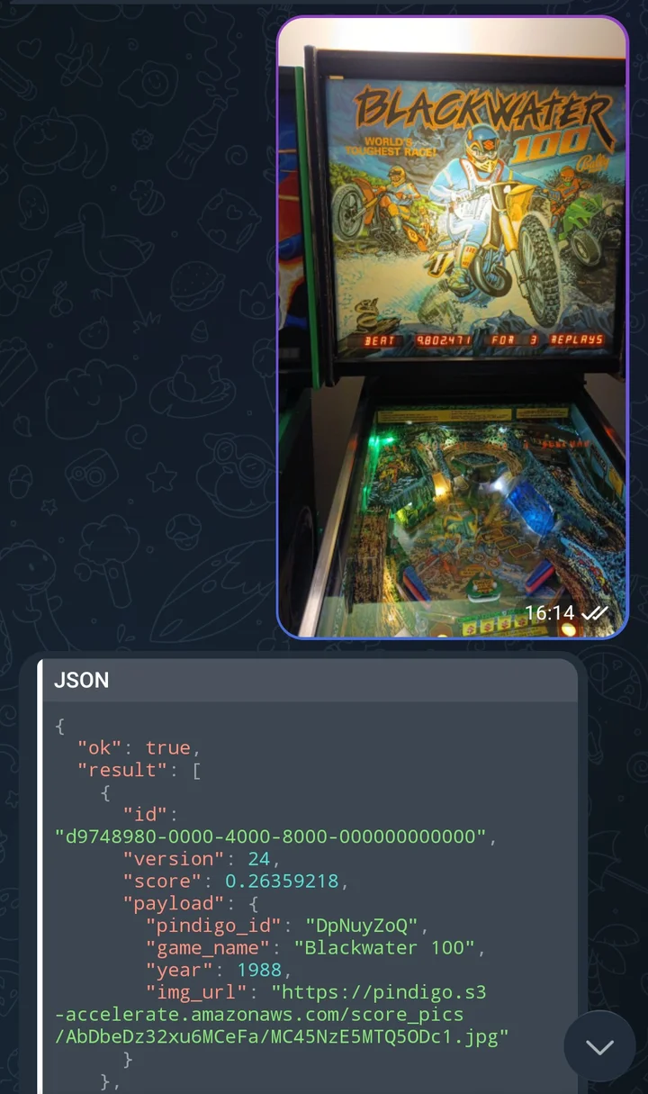 Telegram chat: vector embedding match for Blackwater 100 pinball machine with a 0.26 similarity score